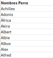 Descarga Nombres para perro en excel gratis